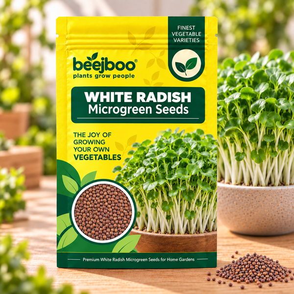 WHITE RADISH MICROGREEN SEEDS