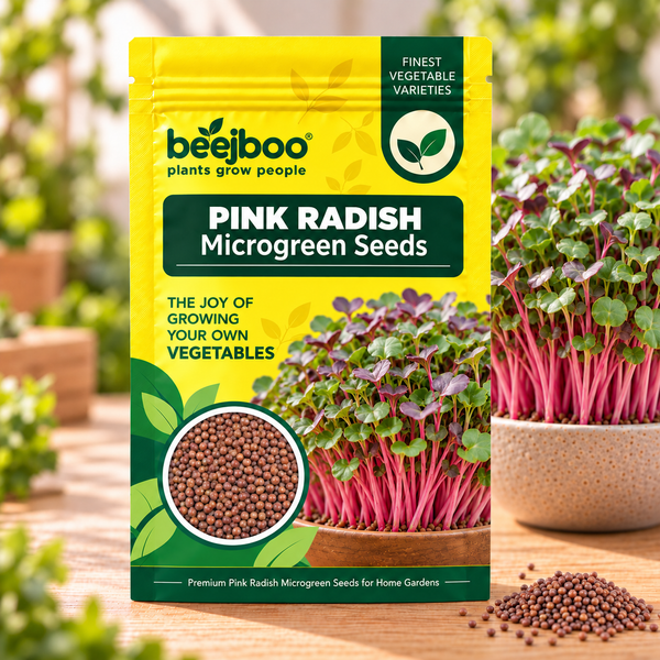 PINK RADISH MICROGREEN SEEDS