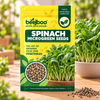 SPINACH MICROGREEN SEEDS