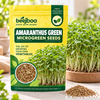 AMARANTHUS GREEN MICROGREEN SEEDS