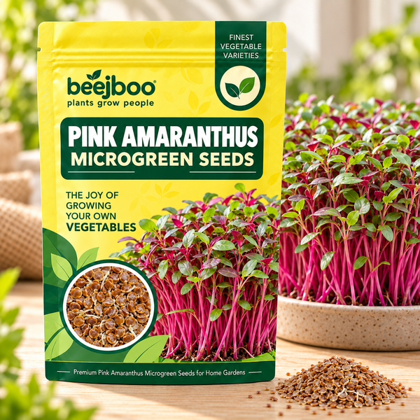 PINK AMARANTHUS MICROGREEN SEEDS
