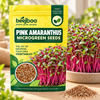 PINK AMARANTHUS MICROGREEN SEEDS