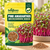 PINK AMARANTHUS MICROGREEN SEEDS