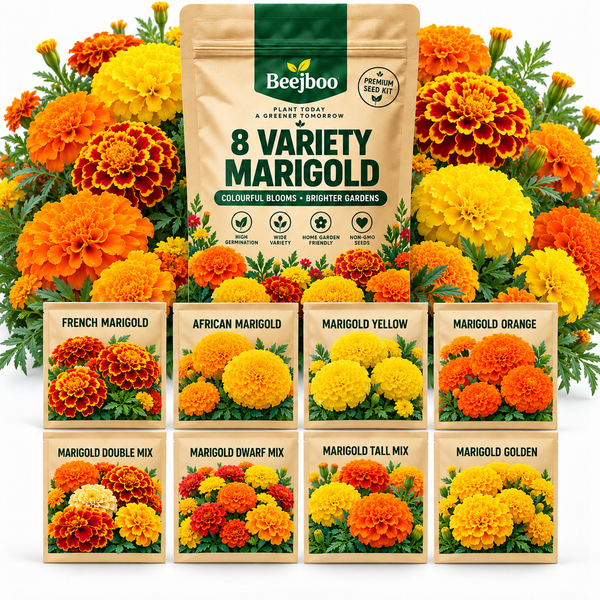 8 VARIETY MARIGOLD FLOWERS