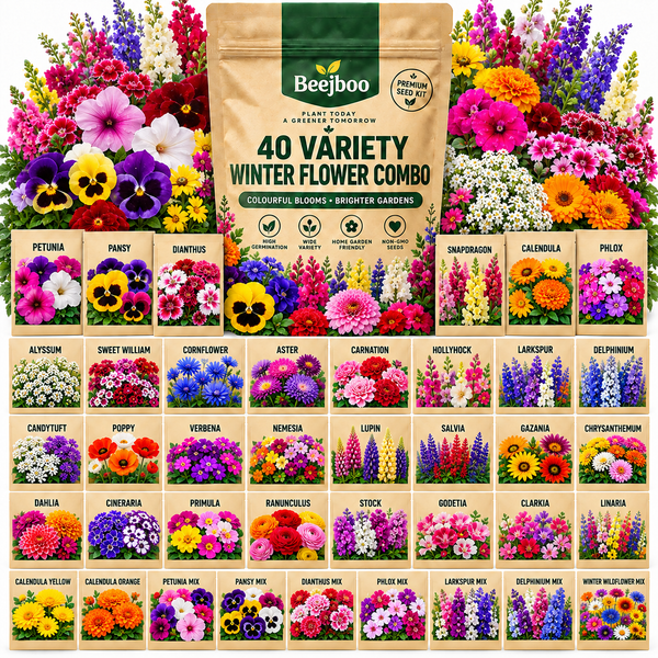 40 VARIETY WINTER  FLOWERS