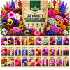 30 VARIETY WINTER FLOWERS