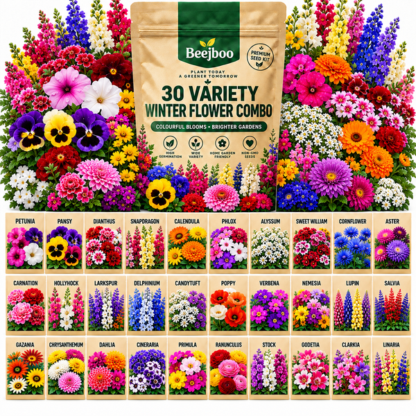 30 VARIETY WINTER FLOWERS