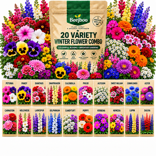 20 VARIETY WINTER FLOWERS