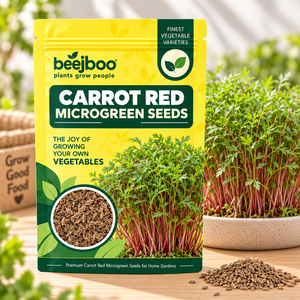CARROT RED MICROGREEN SEEDS