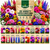 20 VARIETY WINTER FLOWERS