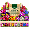 10 VARIETY WINTER FLOWERS
