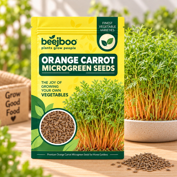 ORANGE CARROT MICROGREEN SEEDS