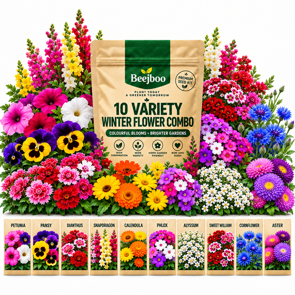 10 VARIETY WINTER FLOWERS