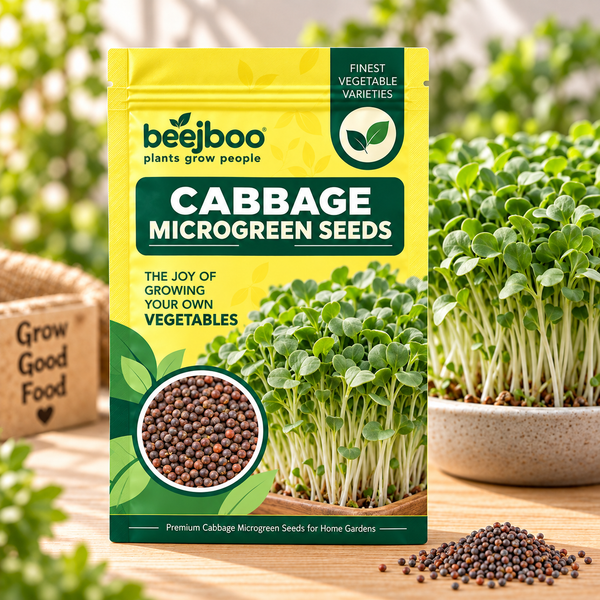 CABBAGE MICROGREEN SEEDS