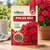 Phlox Red Flower Seeds