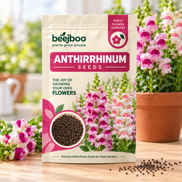 Anthirrhinum Flower Seeds