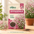 Gypsophila Flower Seeds
