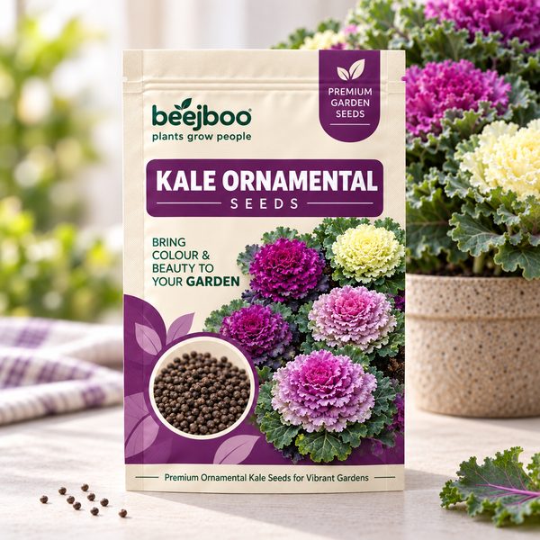 Kale Ornamental Flower Seeds
