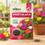 Portulaca Flower Seeds