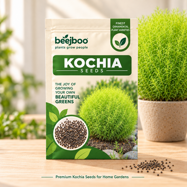 Kochia Flower Seeds