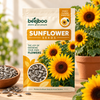Sunflower Flower Seeds