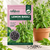 Lemon Basil Herbs Seeds
