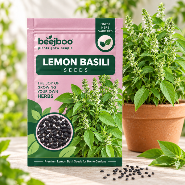 Lemon Basil Herbs Seeds