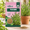 Thyme Herbs Seeds