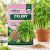 Celery Herbs Seeds