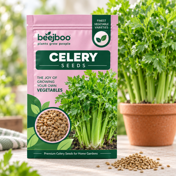 Celery Herbs Seeds