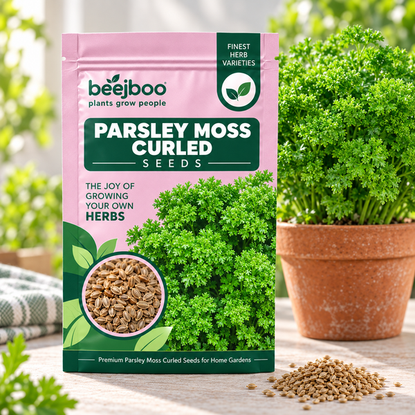 Parsley Moss Curled Herbs Seeds