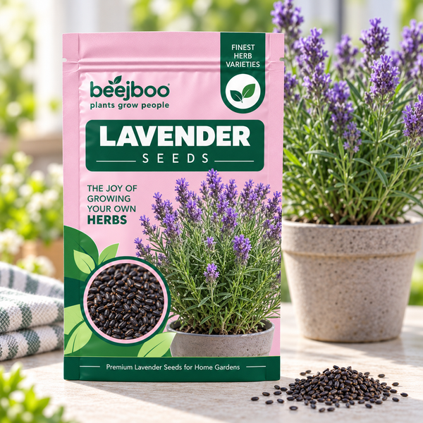 Lavender Herbs Seeds