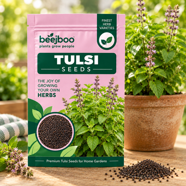 Tulsi Herbs Seeds