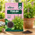 Tulsi Herbs Seeds