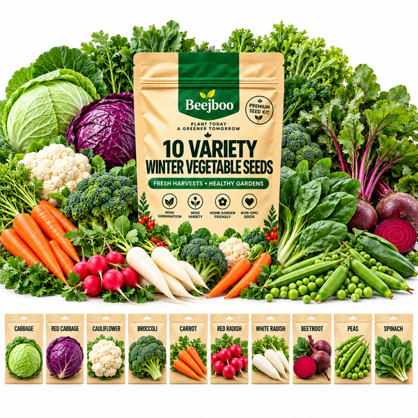 10 VARIETY WINTER VEGETABLE SEEDS COMBOS