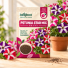 PETUNIA NC MIX SEEDS