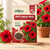 Petunia Red Flower Seeds