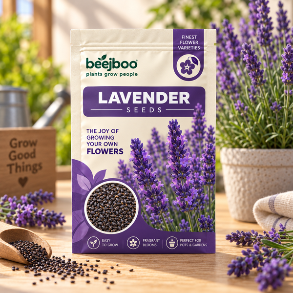 Lavender Flower Seeds