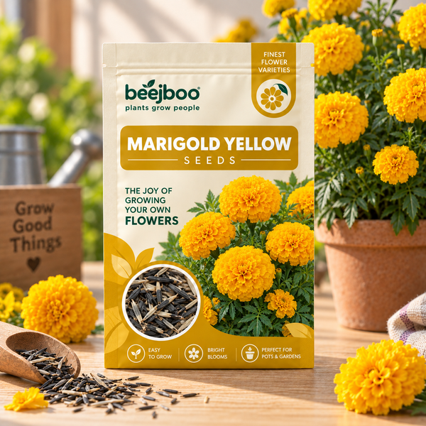 Yellow Marigold Flower Seeds