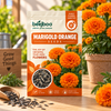 Orange Marigold Flower Seeds