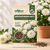 Chrysanthemum White Flower Seeds