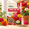 ZINNIA DBL MIX SEEDS