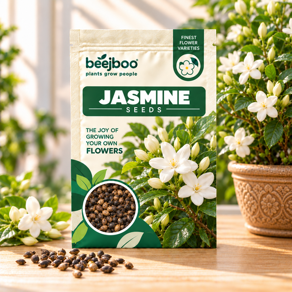 JASMINE SEEDS