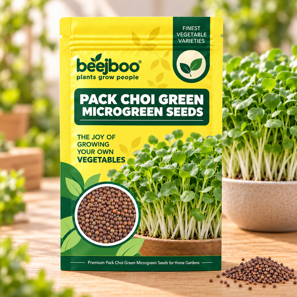 PACK CHOI GREEN MICROGREEN SEEDS