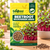 BEETROOT MICROGREEN SEEDS
