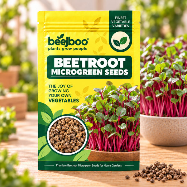 BEETROOT MICROGREEN SEEDS