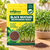 BLACK MUSTARD MICROGREEN SEEDS
