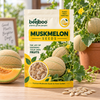 Muskmelon Fruit Seeds