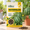 Watermelon Fruit Seeds