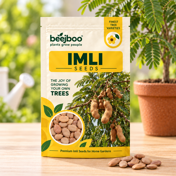 Imli Fruit Seeds